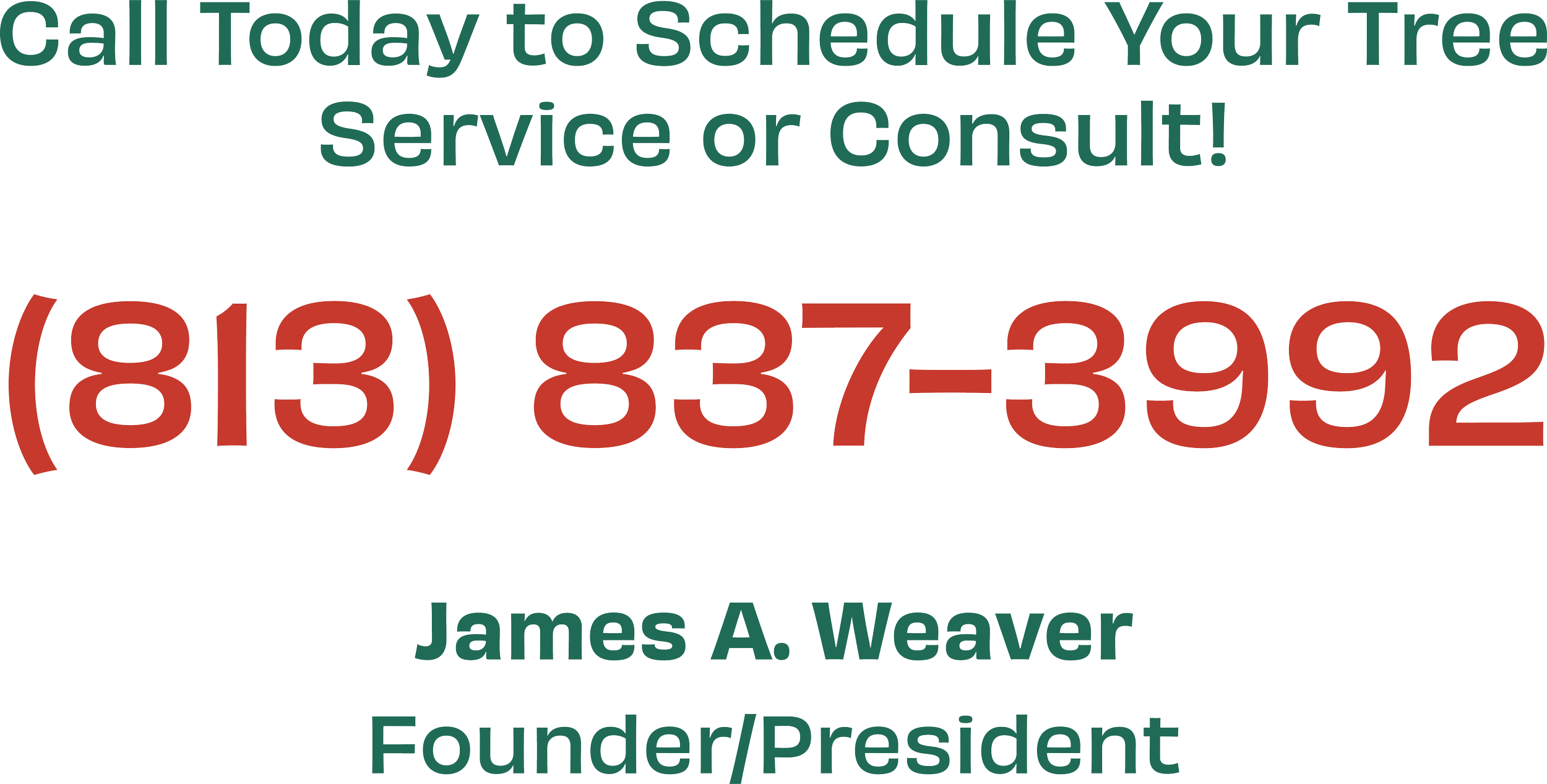 JA WEAVER'S JAWS TREE SERVICE