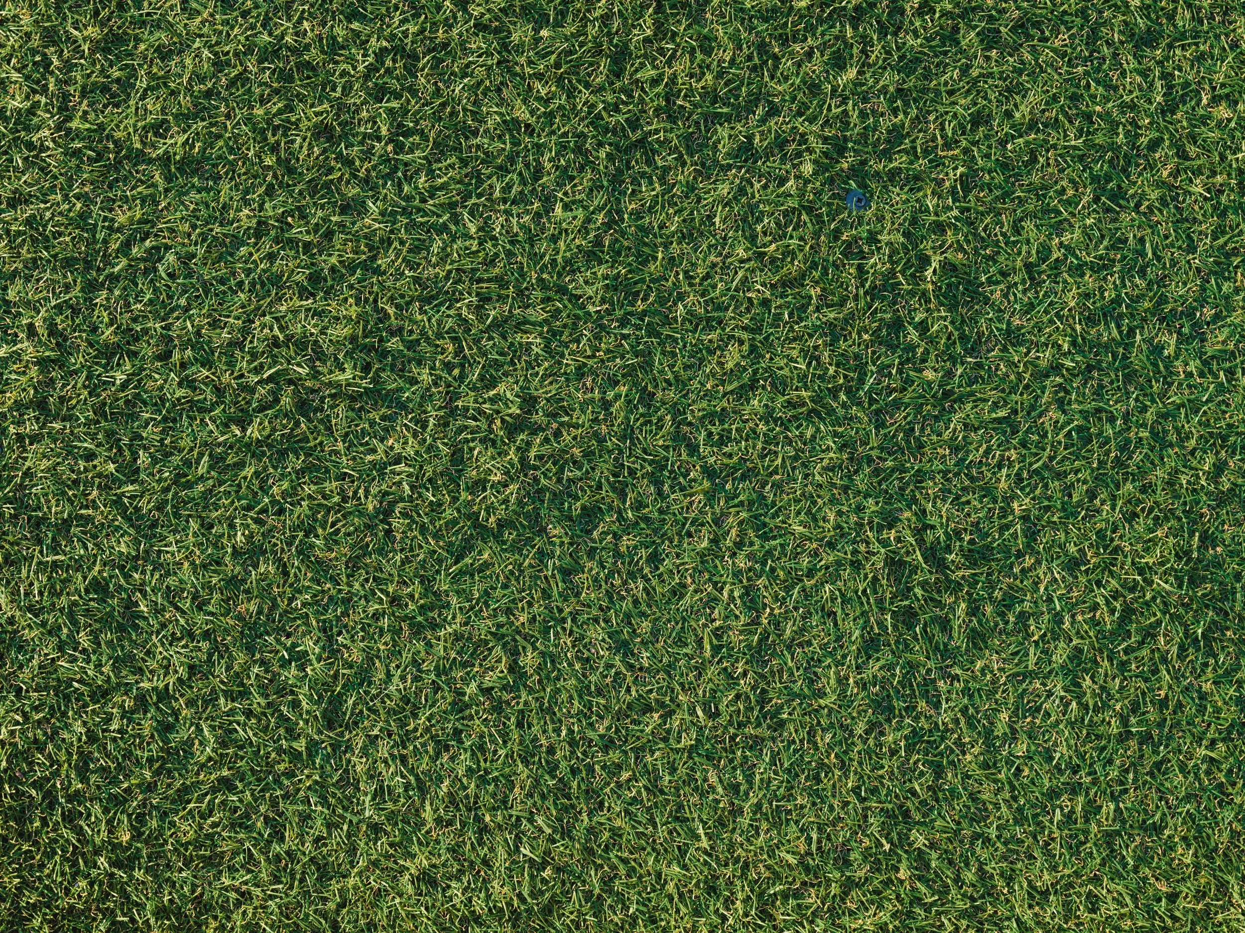 artificial_turf.jpg