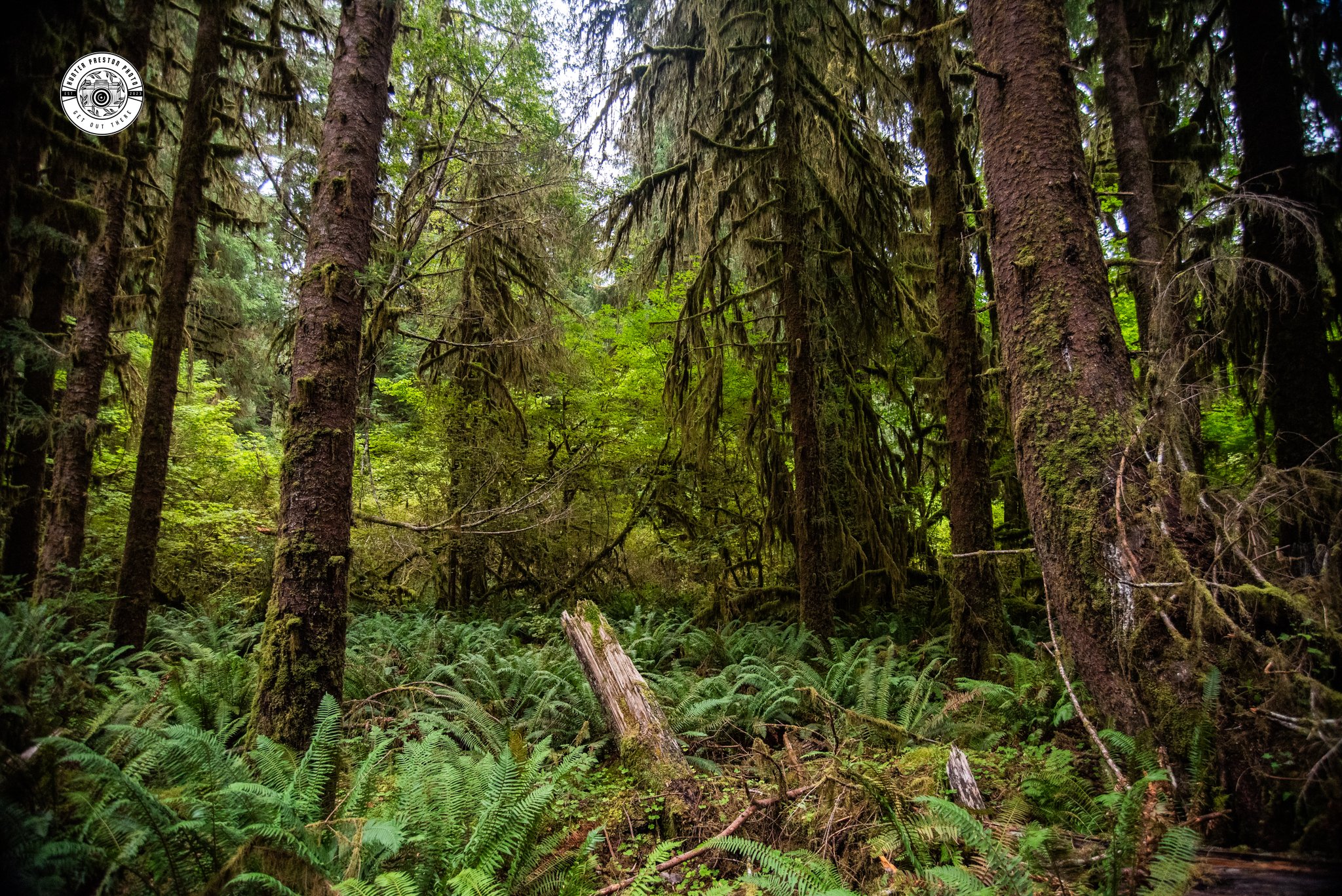 DSC_2486.jpg