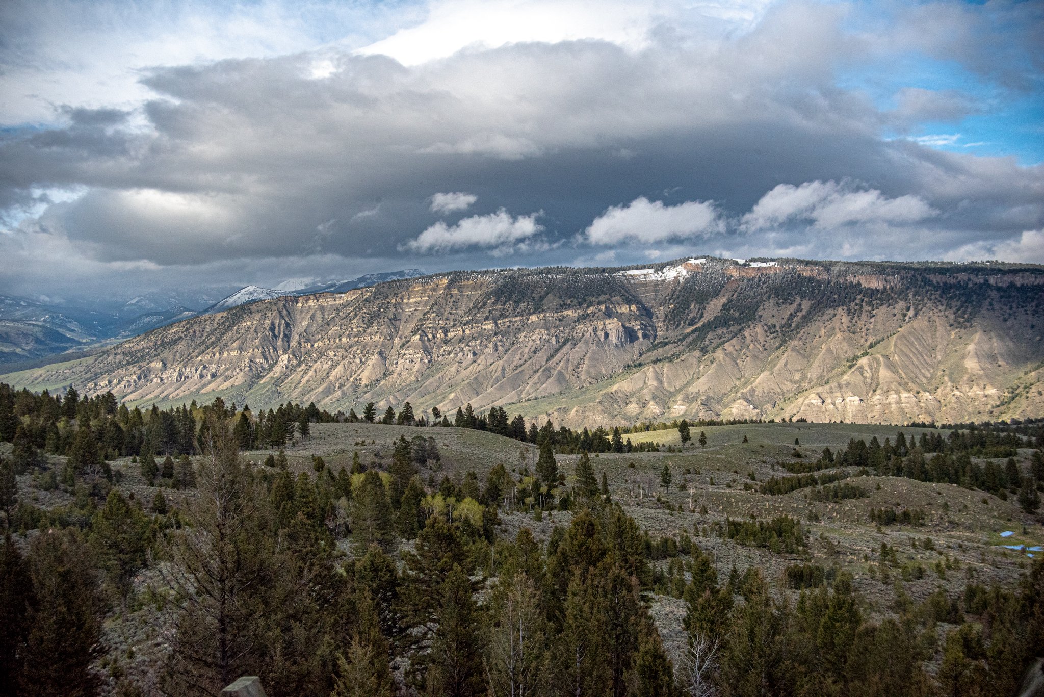 DSC_1287.jpg