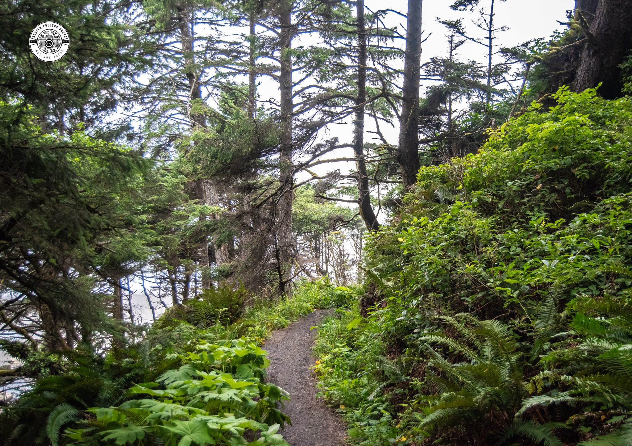 DSC_2400.jpg