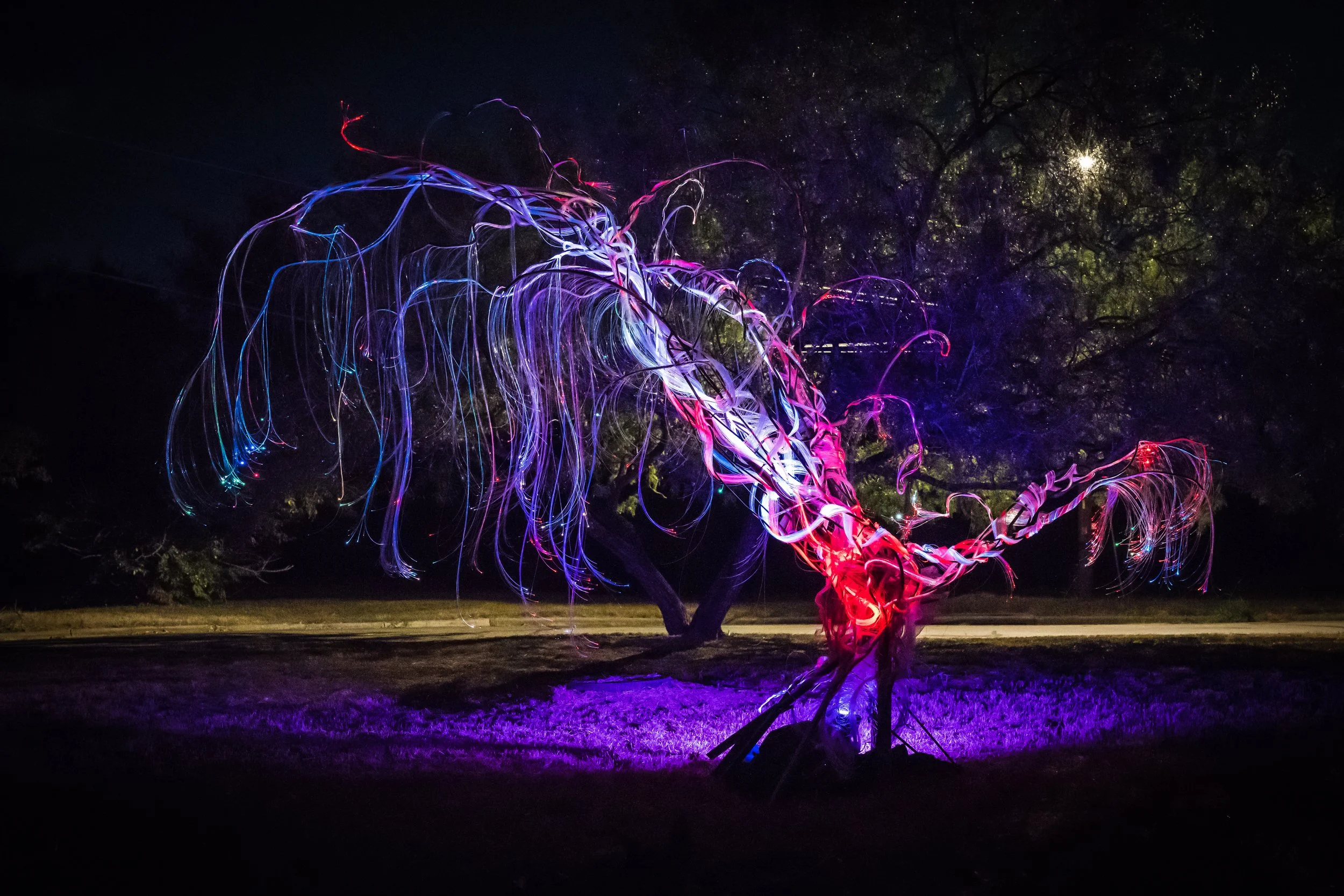 Austin Landscape Sculpture - Ms Tree 2024 - The Circle - 04.jpg