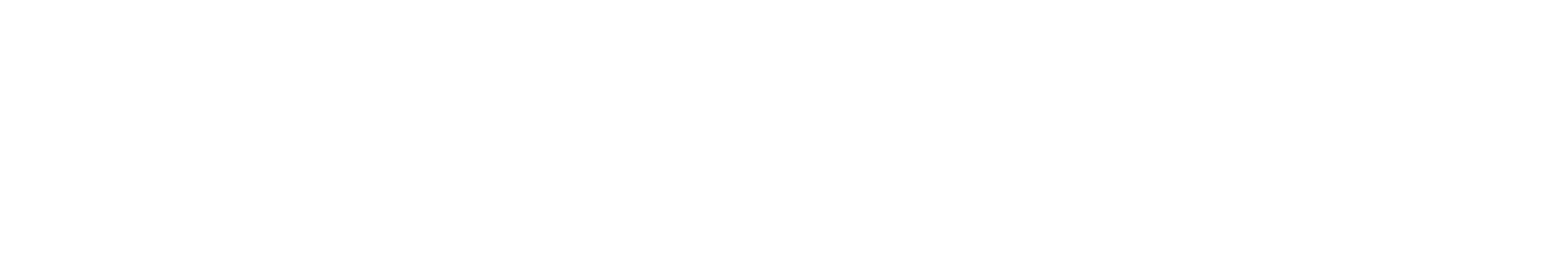 Add focused security expertise and advisory support