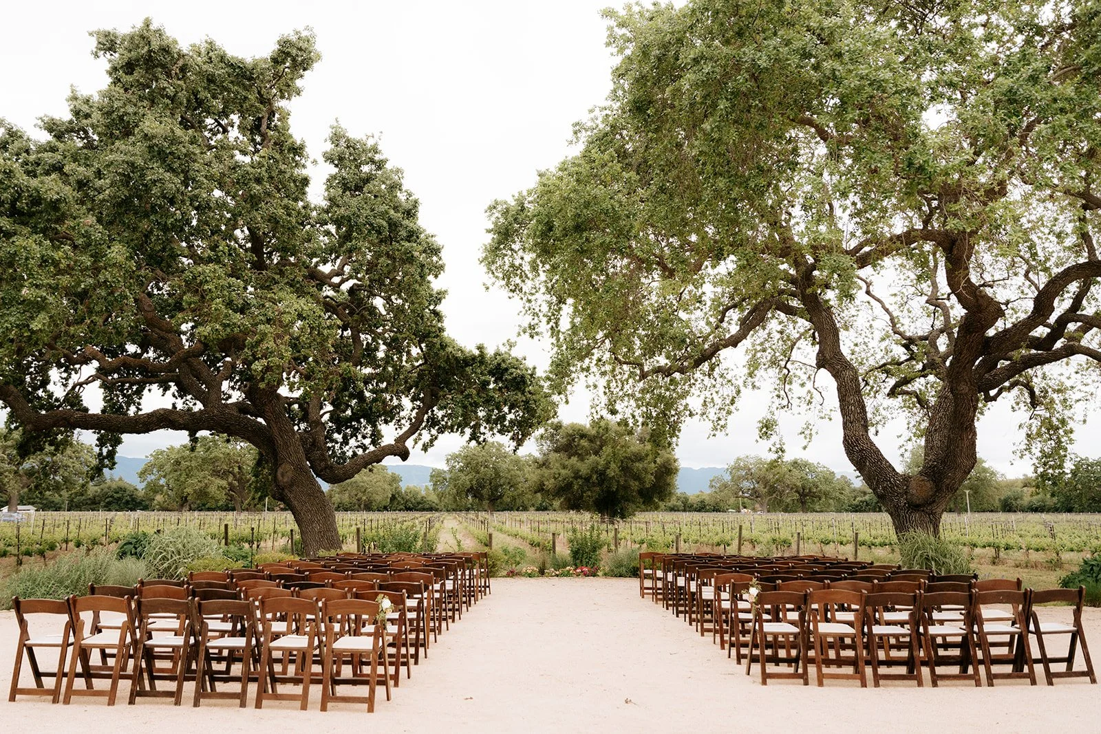 JadeSharpPhoto_DavisWedding_Ceremony-8.jpg