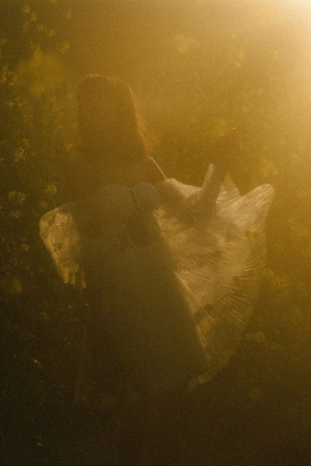 Sunset Bridal Portrait, Los Angeles California Wedding Photographer