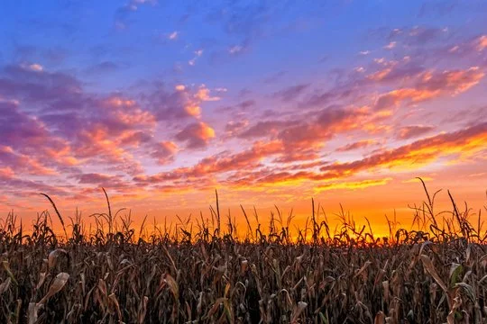 Harvest your goals with a low-rate loan!