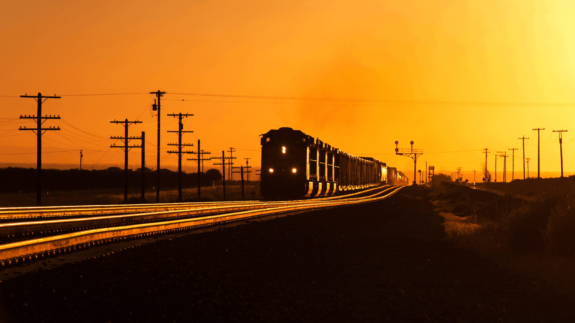 jpeg-optimizer_KernCoTrain.png