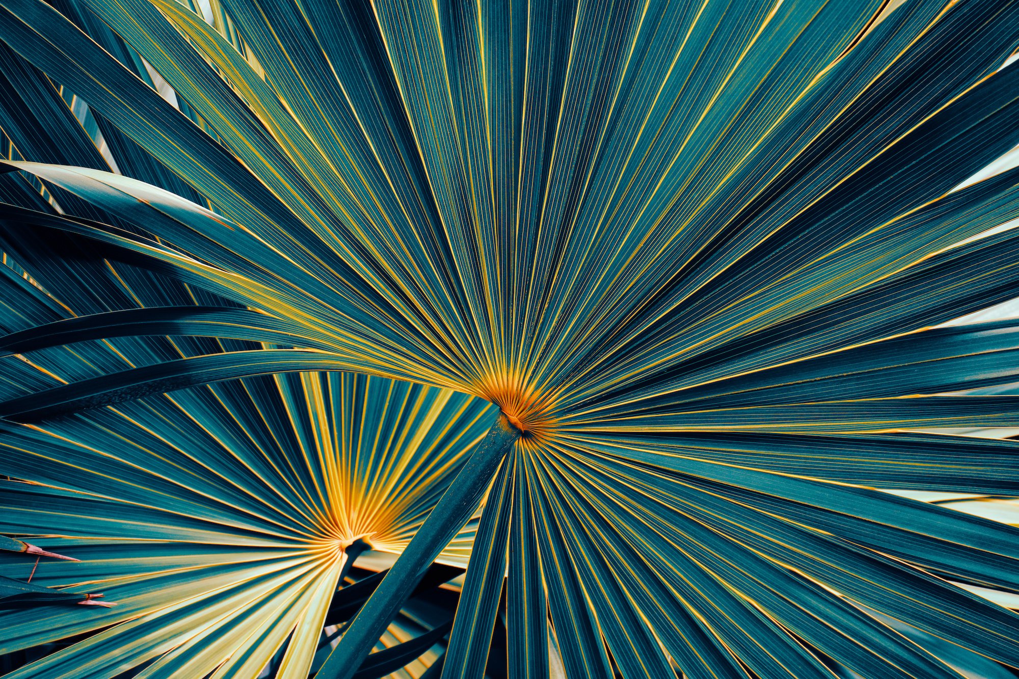 AdobeStock_563039014.jpeg