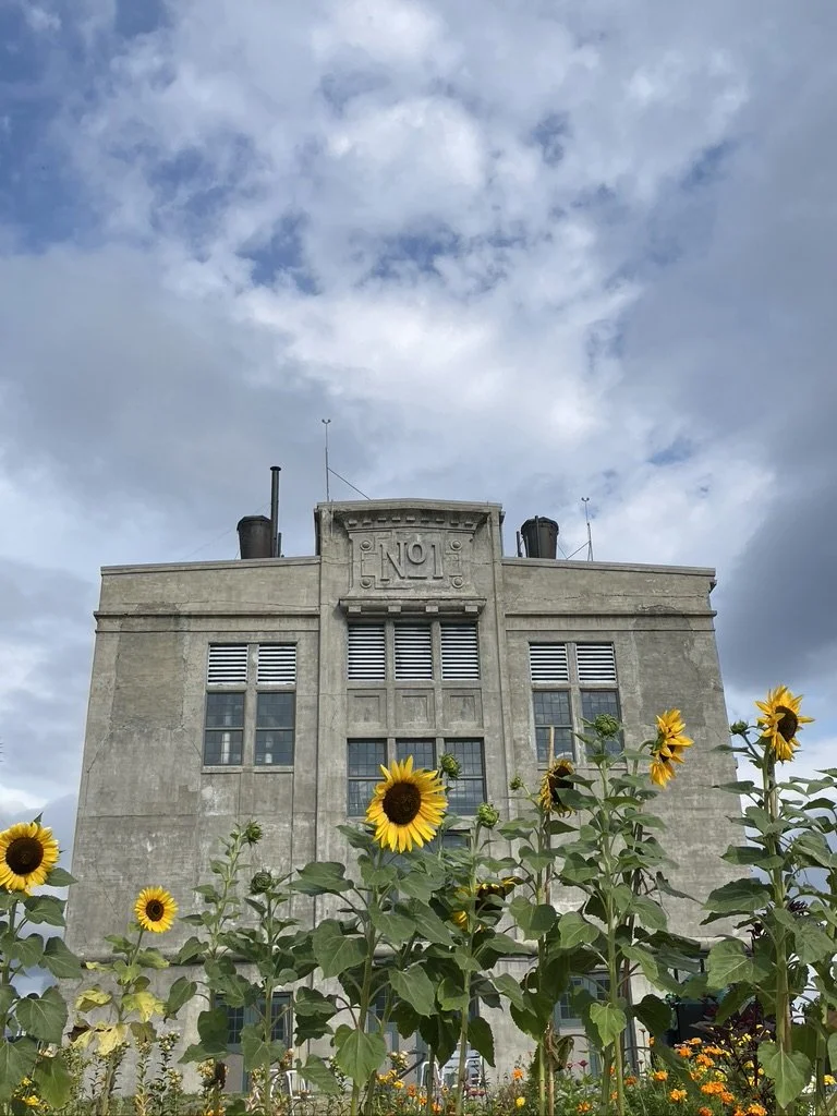 Georgetown Steam Plant Open House