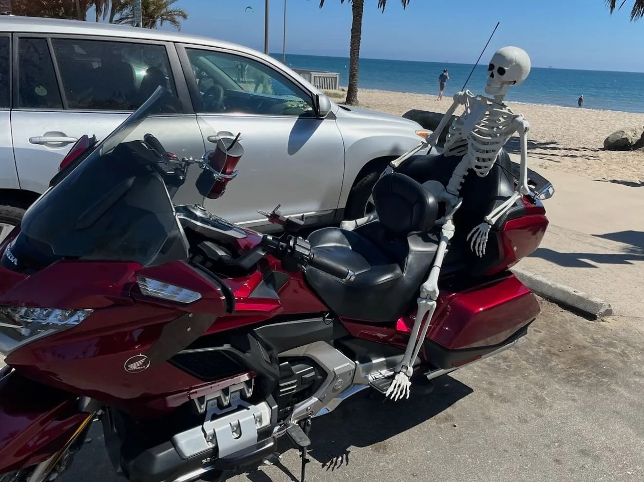 Easy Rider