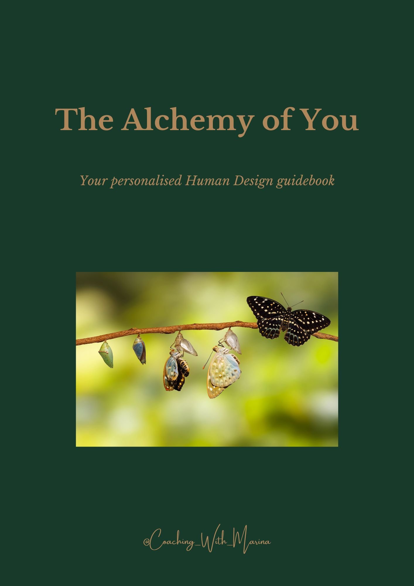 The Alchemy of You Guidebook