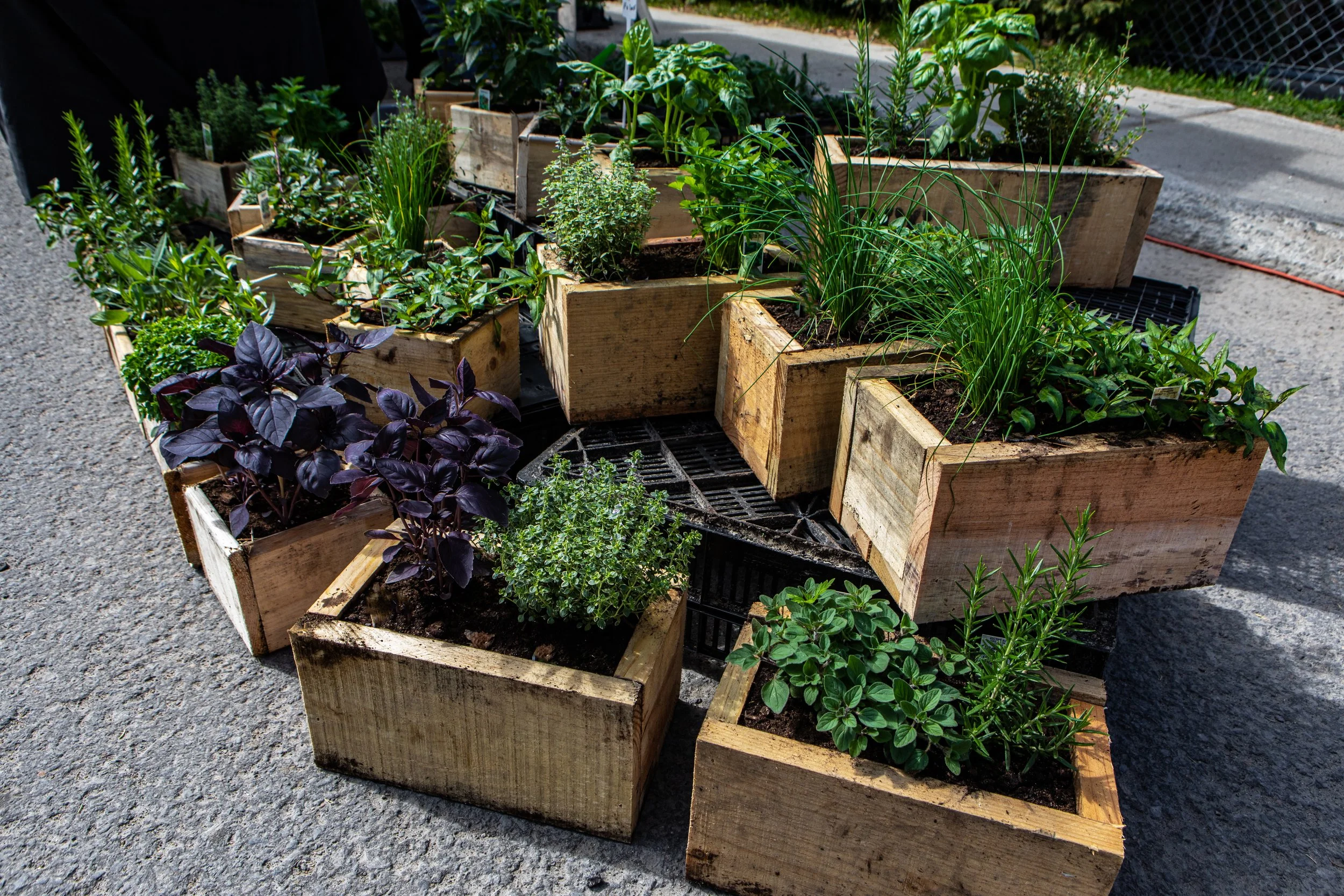 build a Reclaimed Lumber Herb planter box