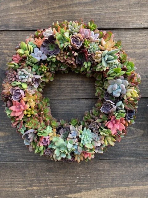 Succulent Wreath Workshop