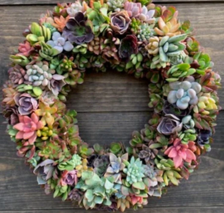 Succulent-Wreath.jpg