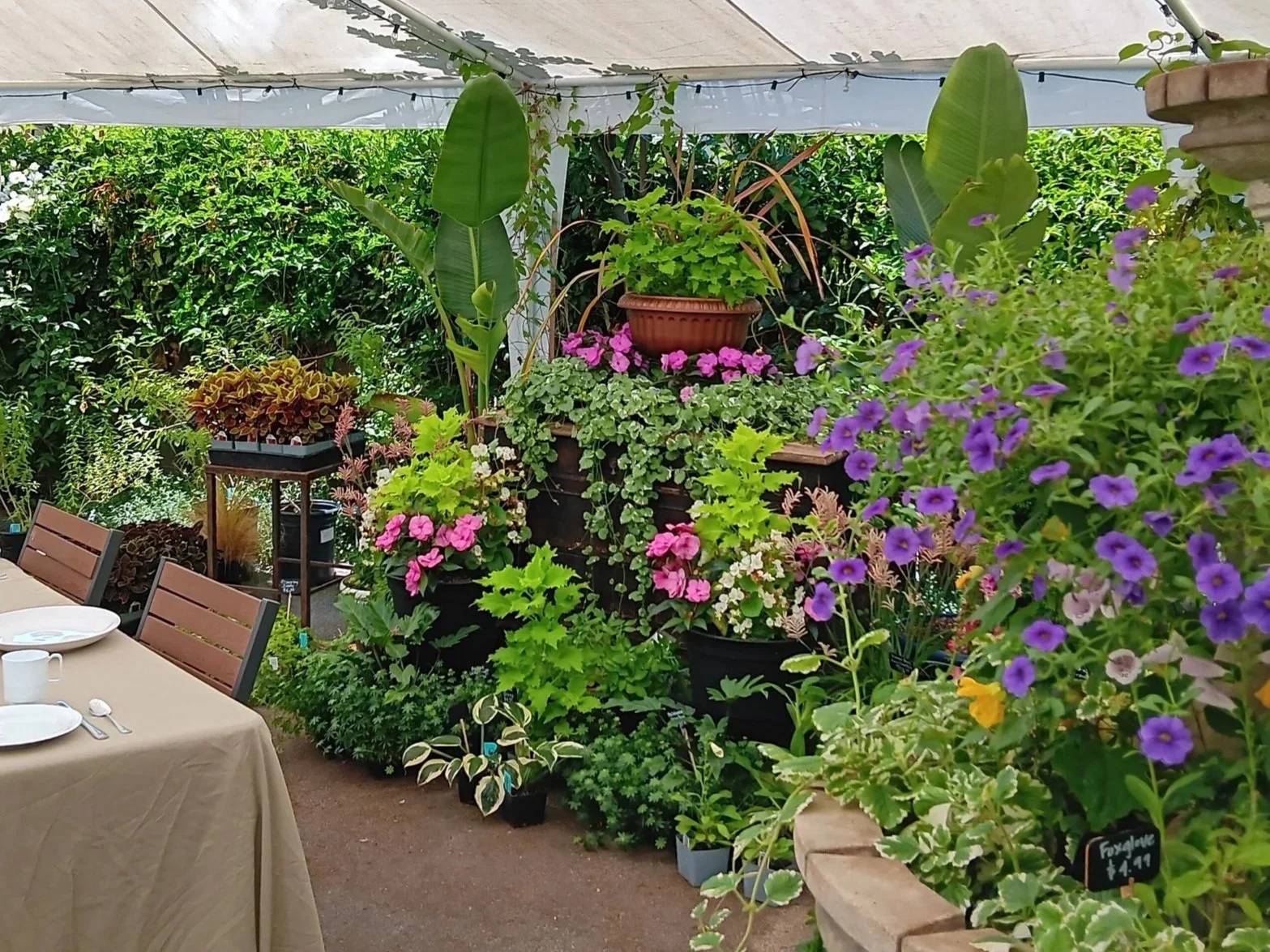 Bridal Shower Potted Floral Centerpiece 