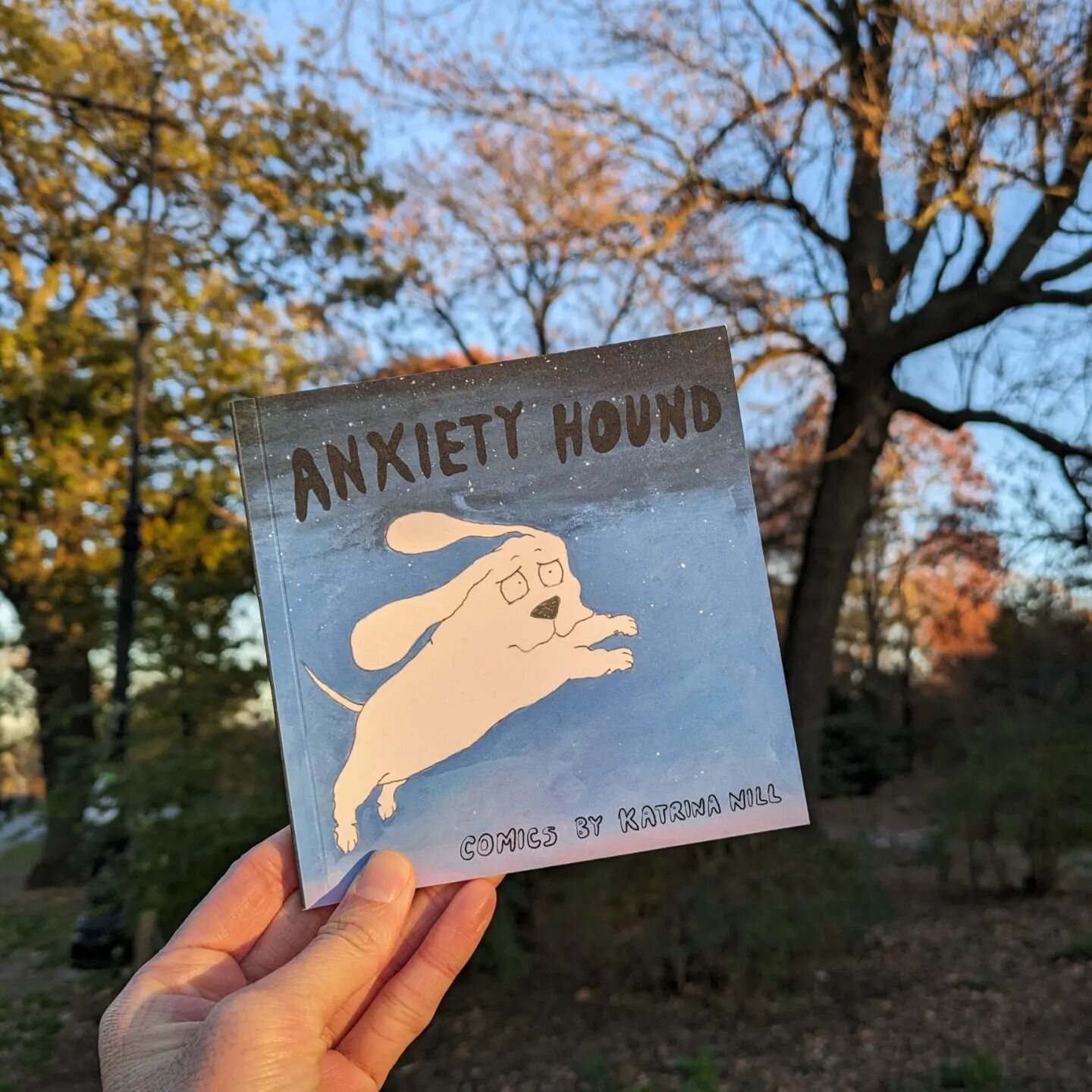 Anxiety Hound the book is here!! 100 pages of Hound comics and sketches from the last 7 years, freed from digital purgatory and beautifully printed by @fireballprints . It's small and square, great for keeping in your backpack to read on public trans