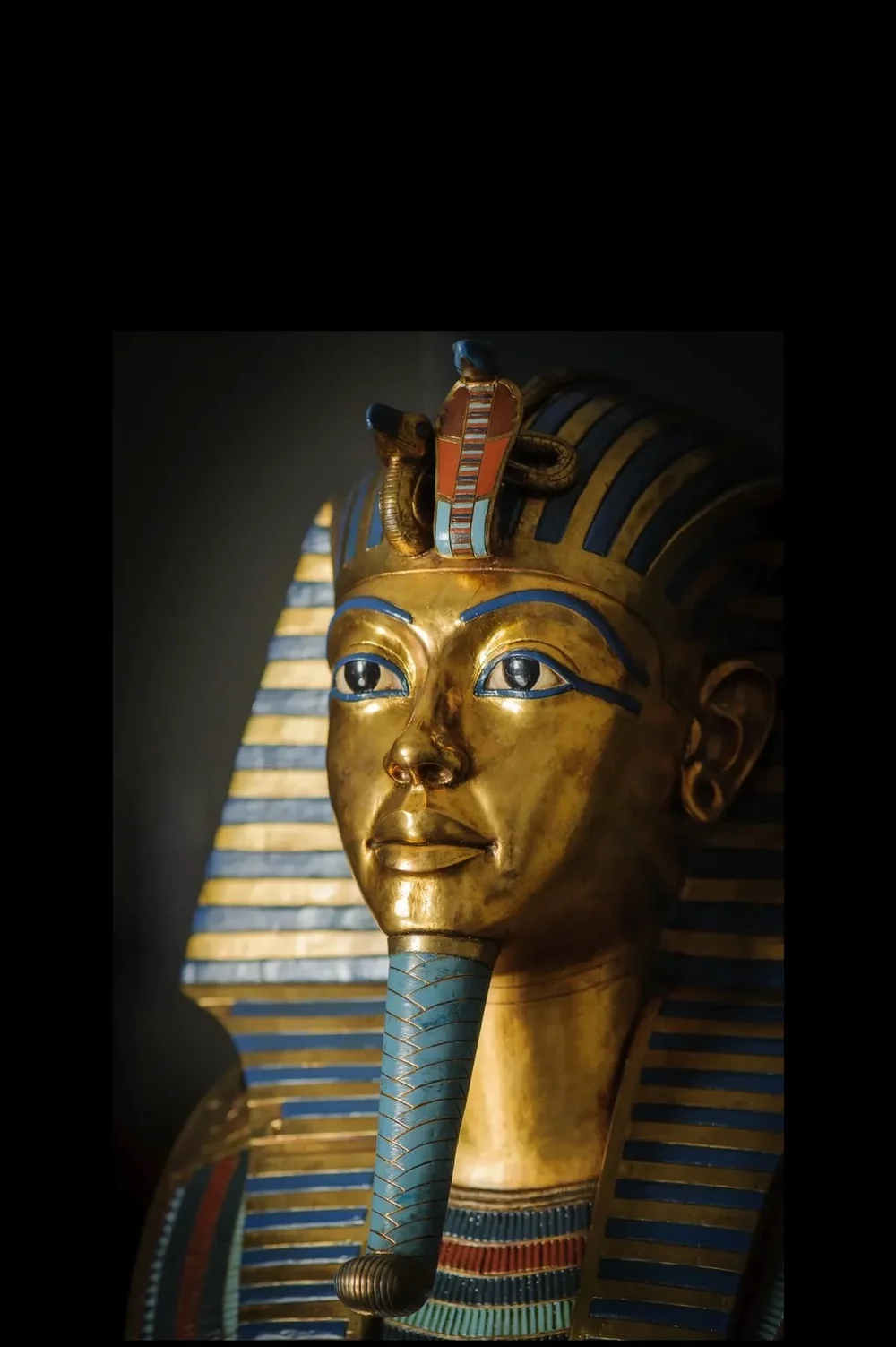 rs=w_1200,cg_true (1).jpeg