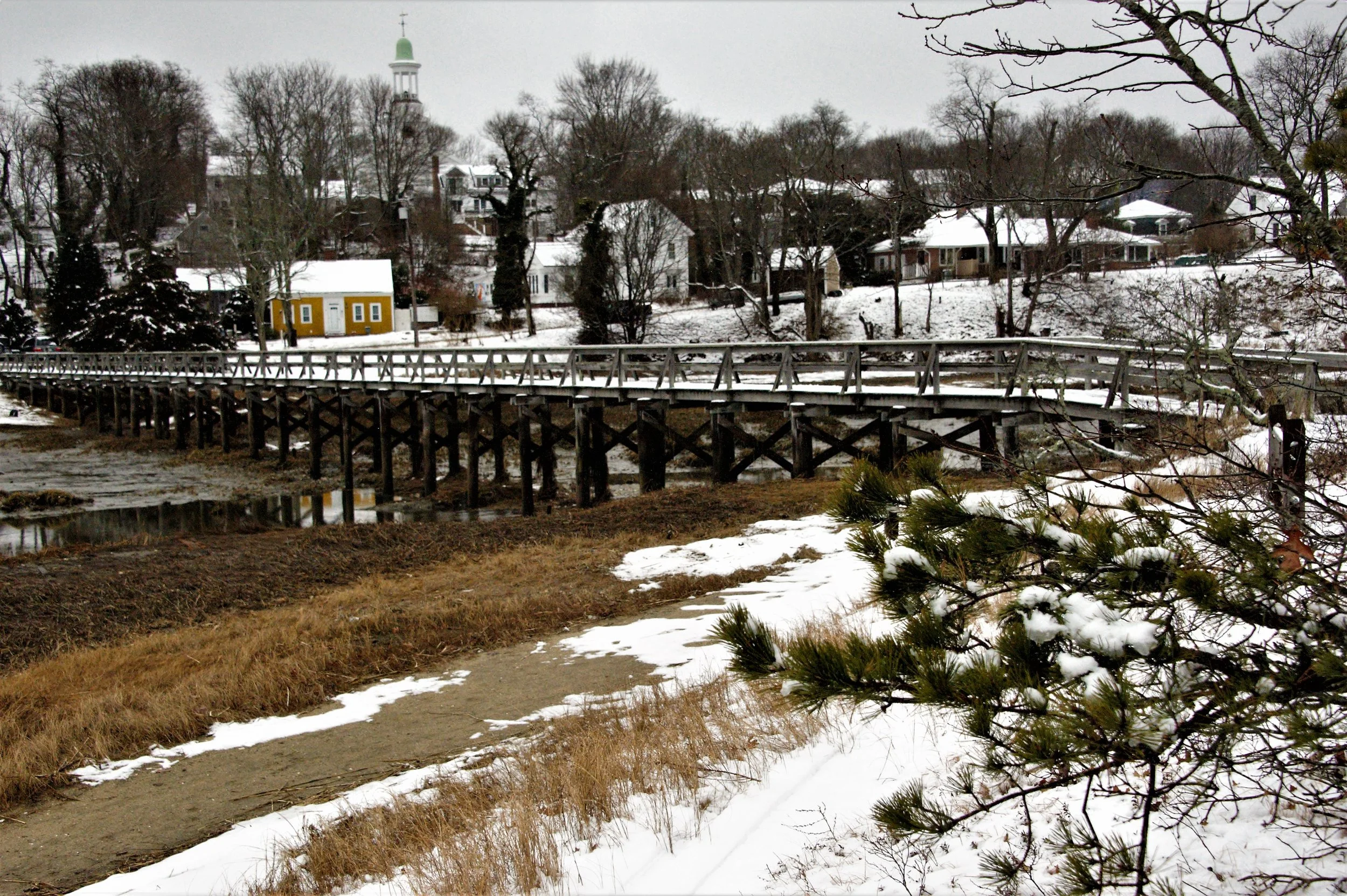 Footprints at Duck Creek
