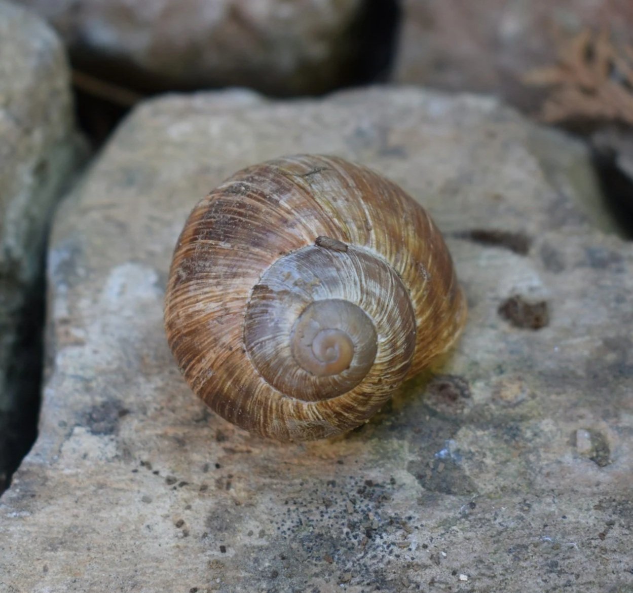 Returning to the Basics