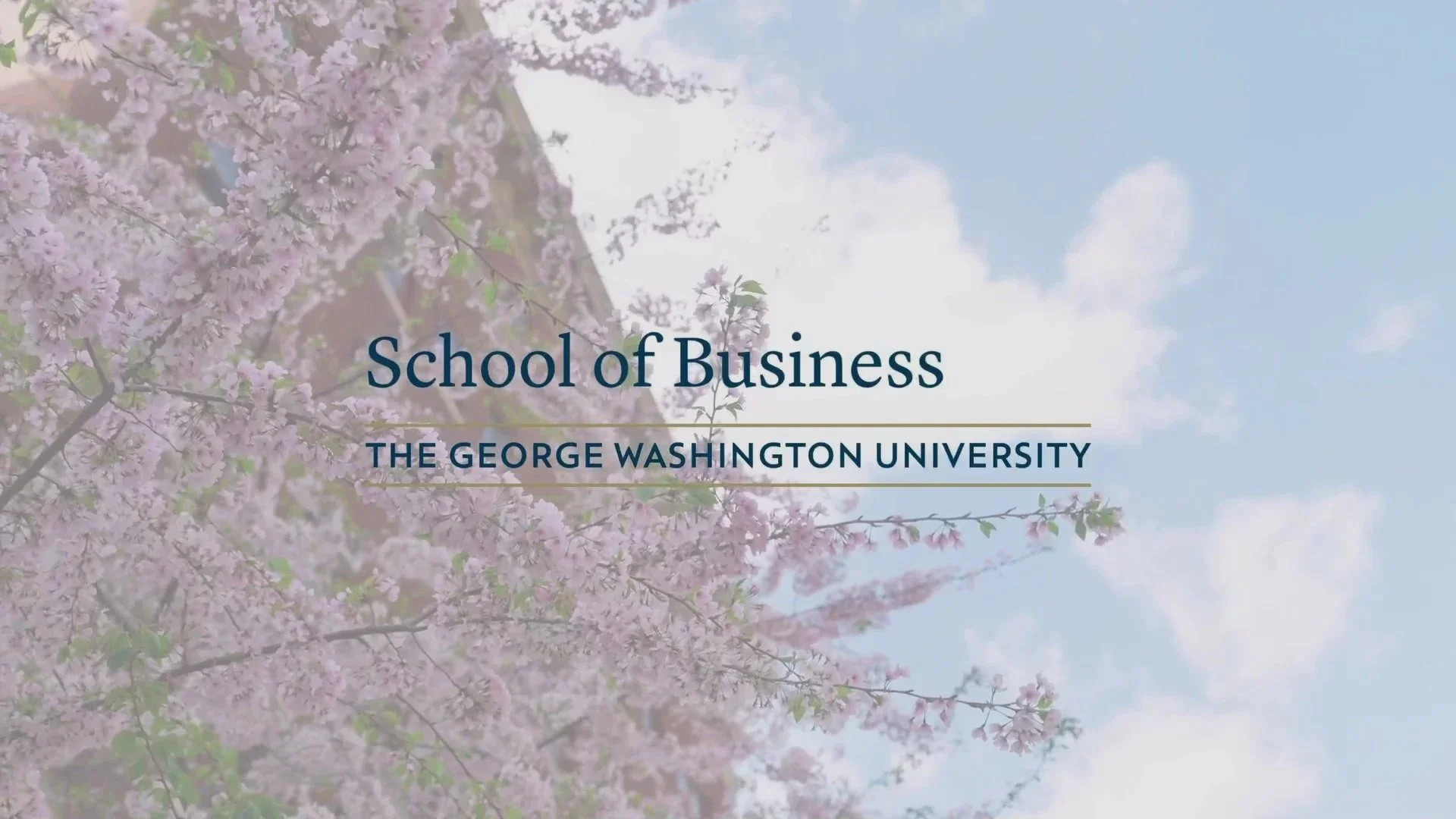 George Washington University