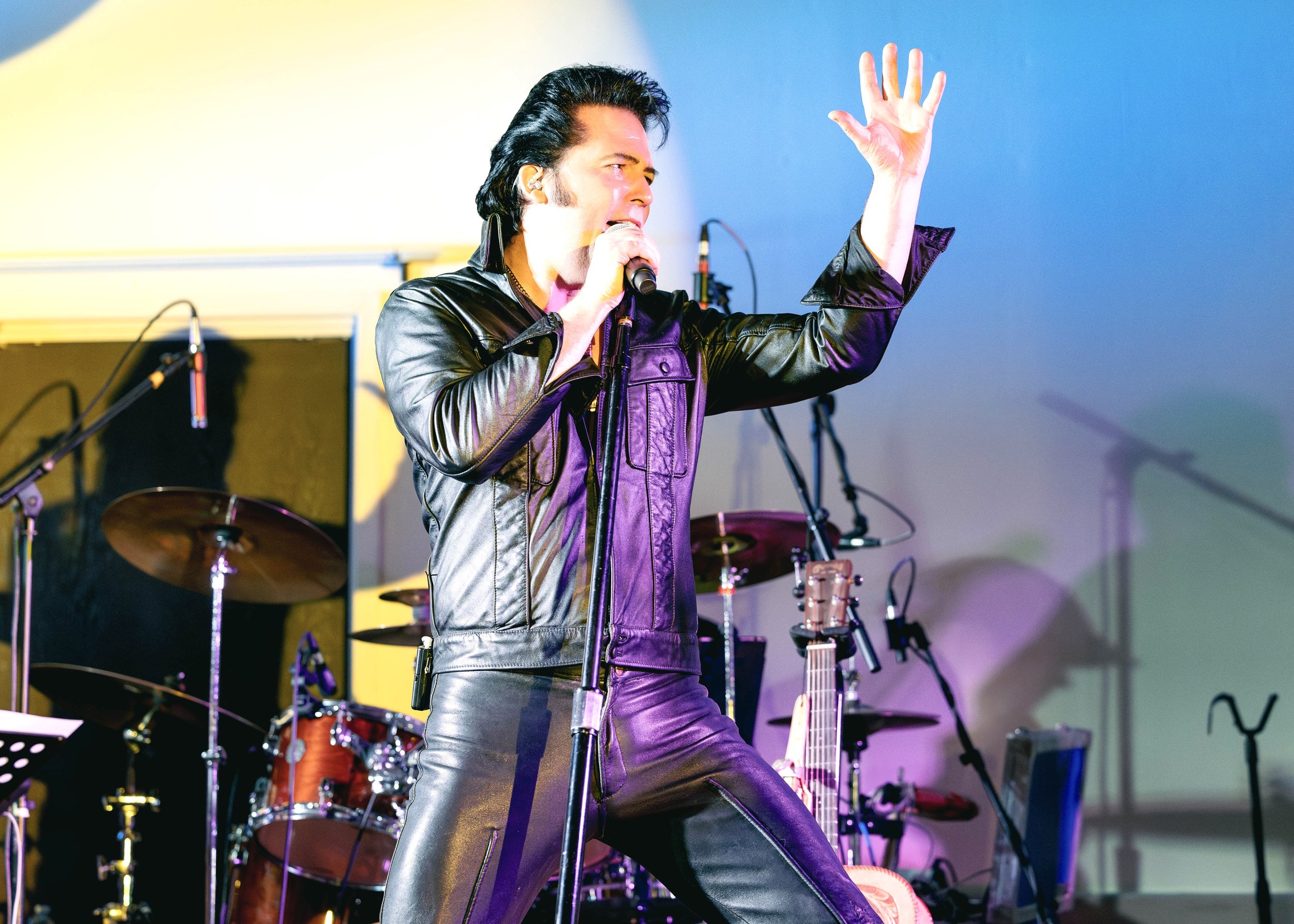Elvis 3.jpeg