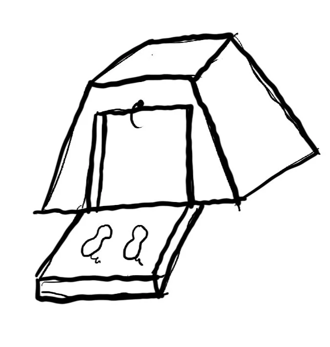 Untitled_Artwork 4 (1).jpg