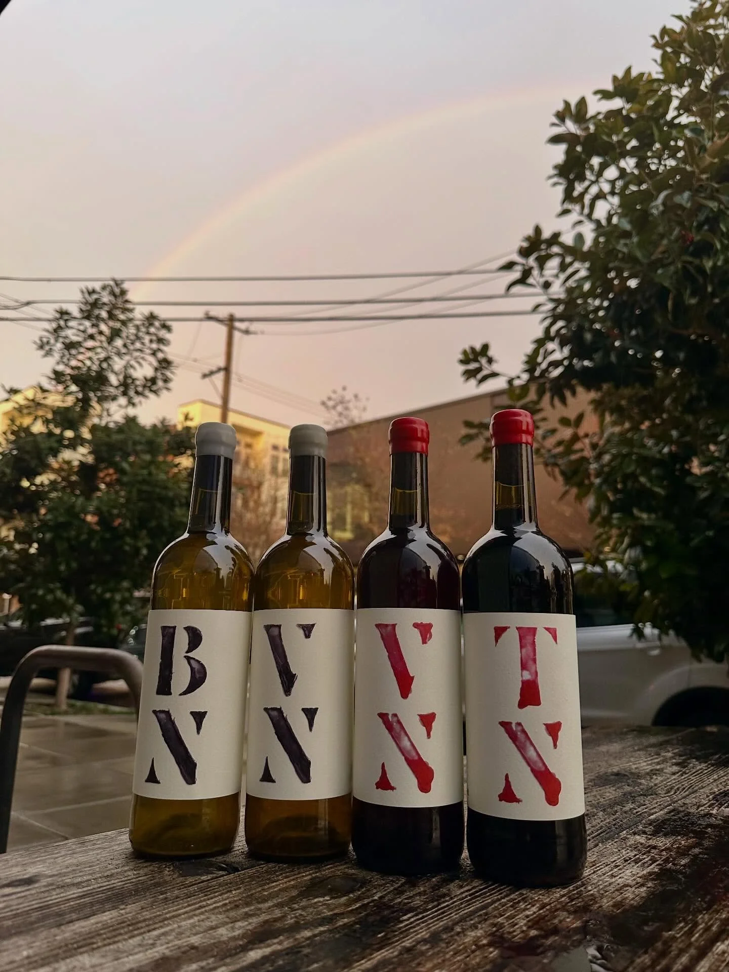 Some recent arrivals, for posterity ❤️