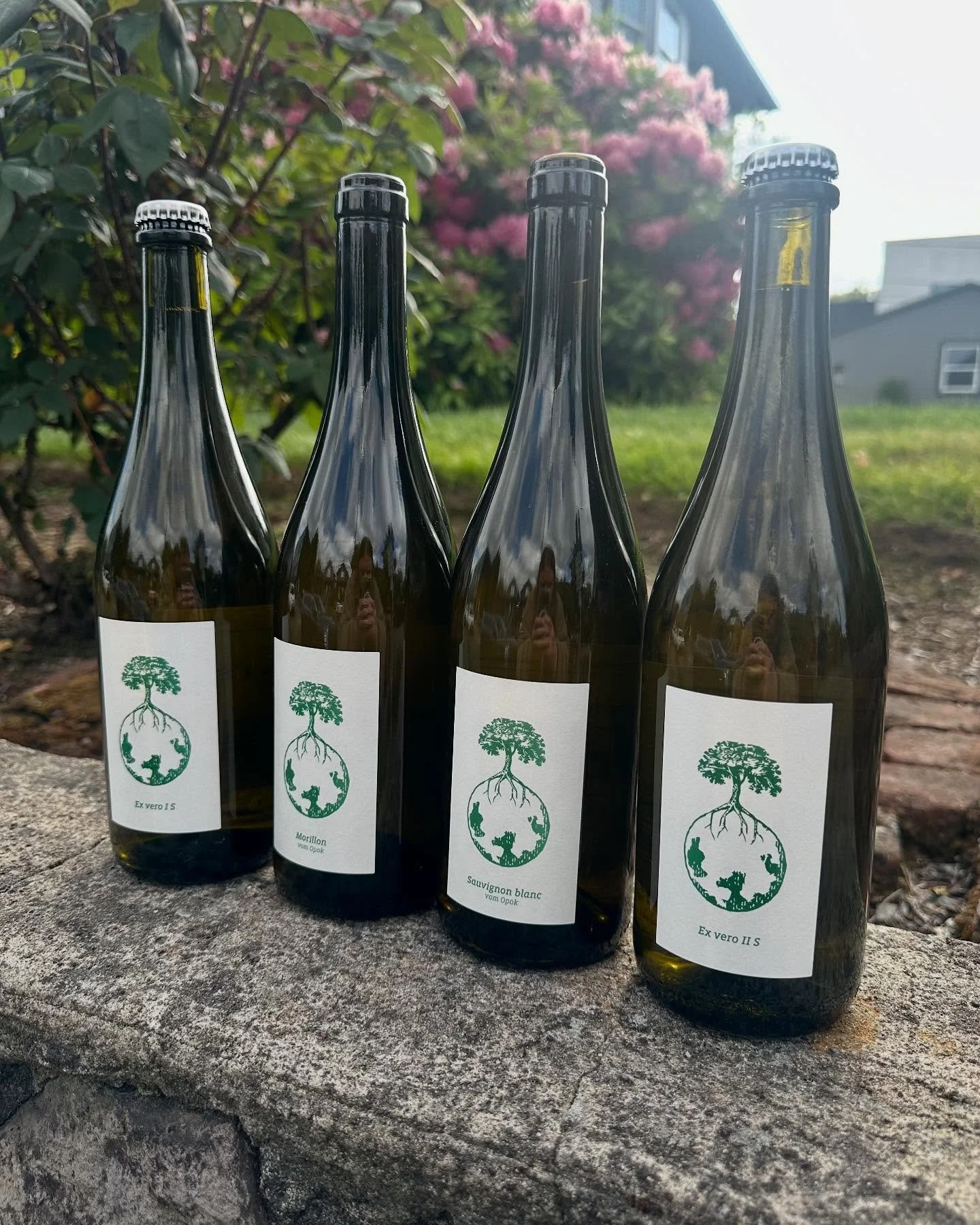 Some notable recent arrivals! Stone cold classics from Styria, breathtaking refreshment from Anders &amp; Anne in Ardeche, late-release nouveau from Beaujolais, shop favorites from Languedoc, and new Jura. Always Jura ❤️