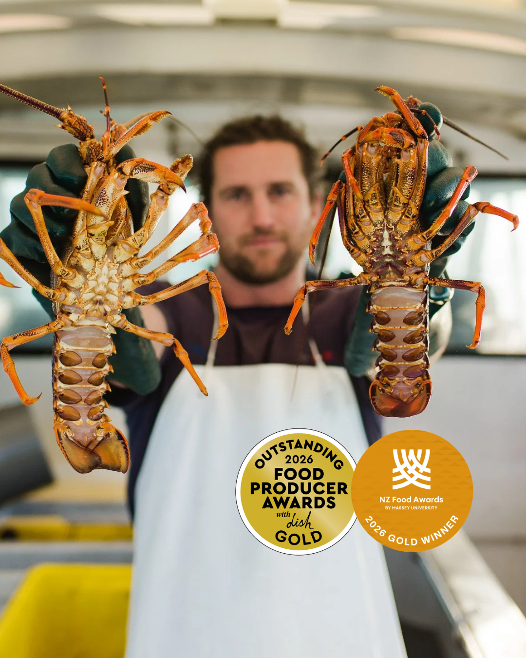 Fresh Wild Crayfish | Kōura