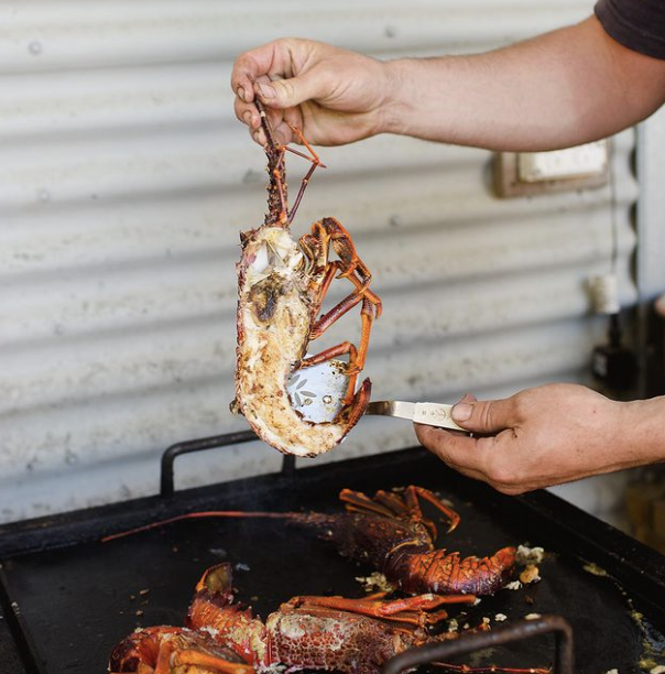 Screen Shot 2023-08-05 at 11.45.50 AM.png