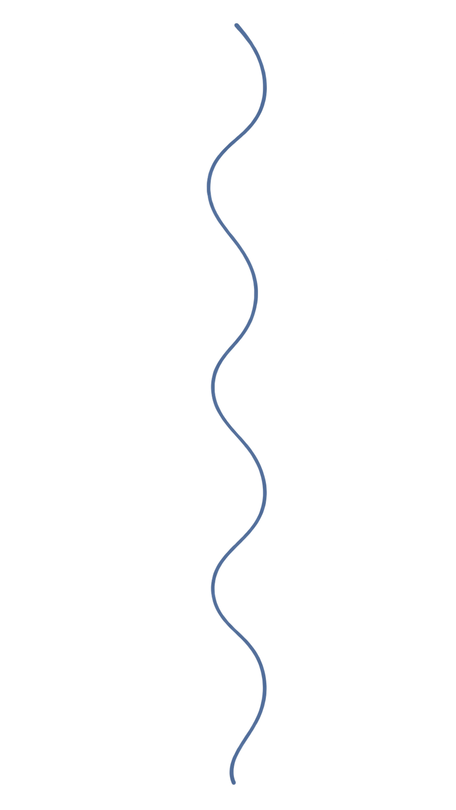 decorative wavy line