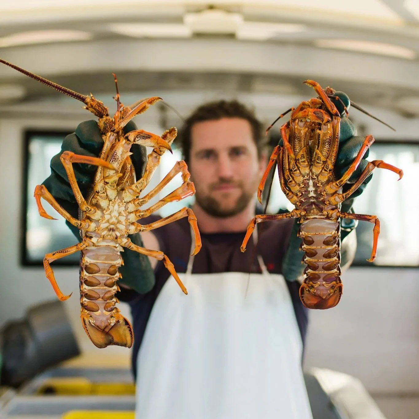 Troy from Tora Collective holding freshly caught wild crayfish