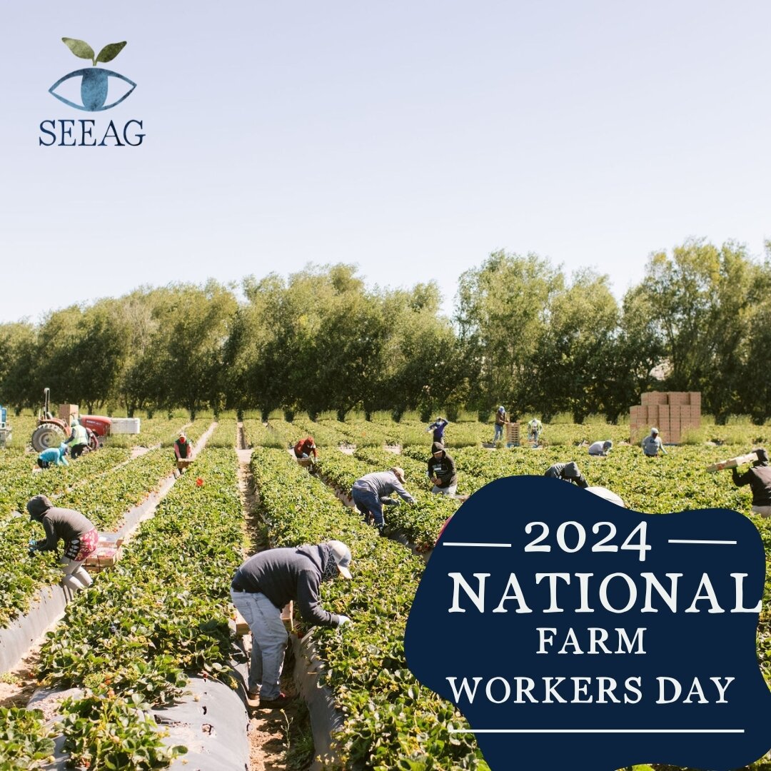 🌱 On Farm Workers Day, let's honor the unsung heroes who toil in the fields, nurturing crops that feed our families and fuel our economy. Their hard work sustains us all, yet too often goes unrecognized. Let's stand together in solidarity, advocatin