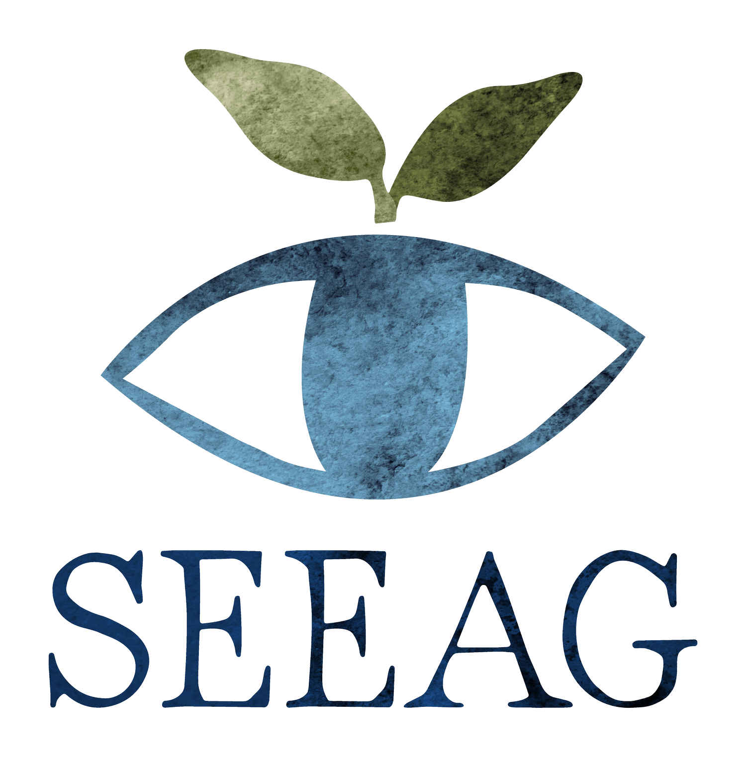 SEEAG&#39;s Super Healthy Hero Kids