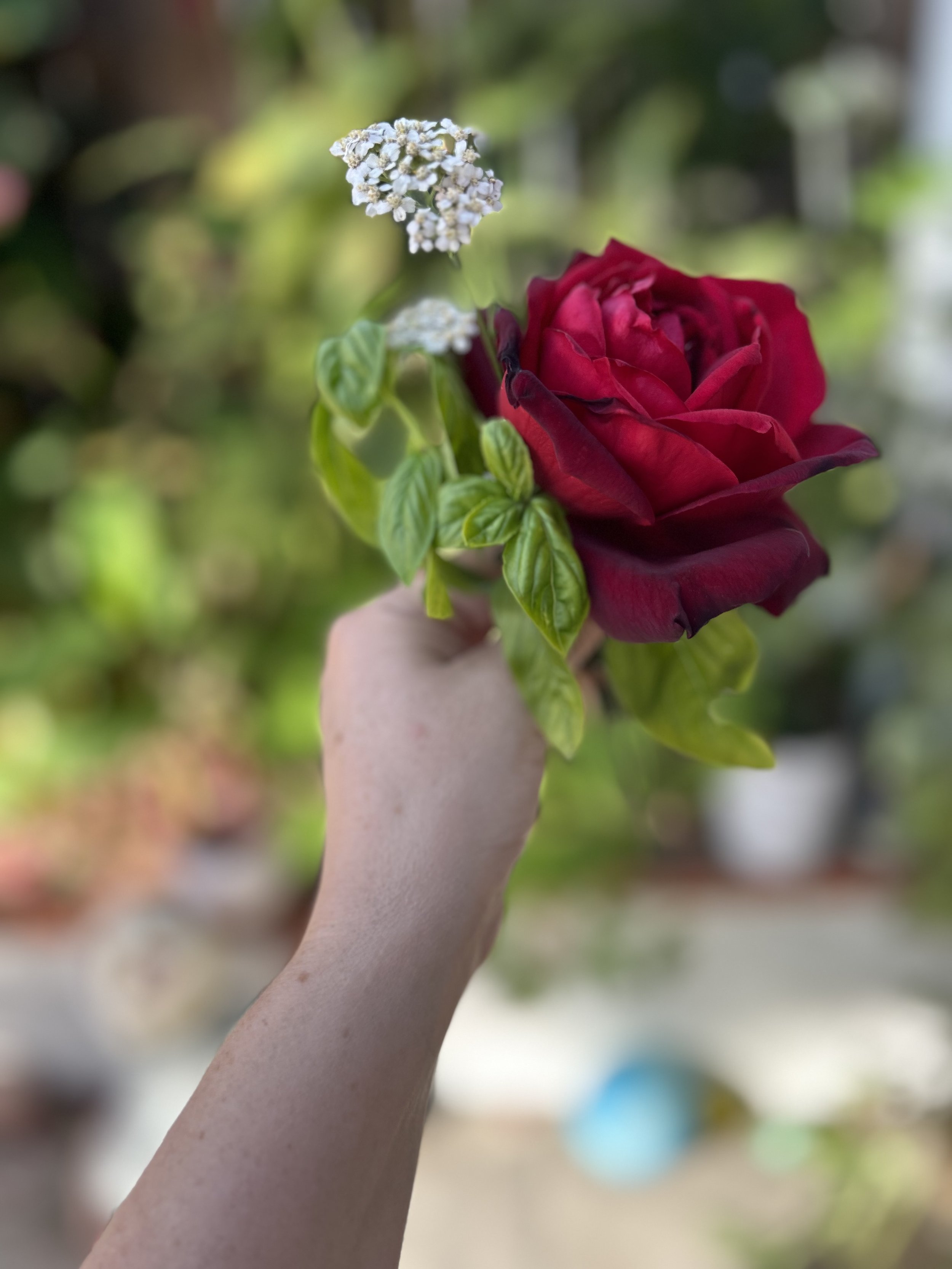 IMG_3794.jpeg