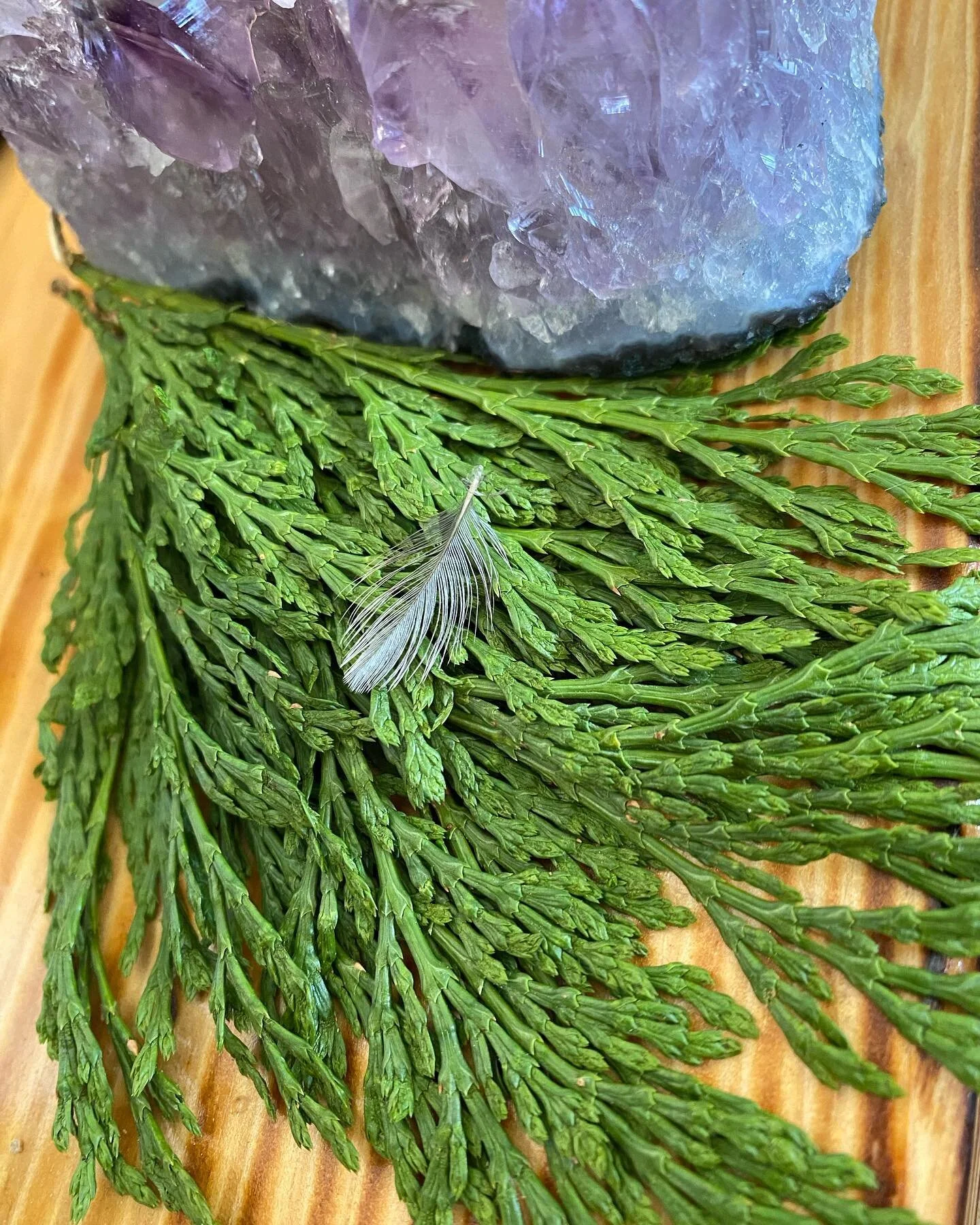 **HUMMINGBIRD FEATHER** 🪶 You know when spirit has a gift for you. A message for you. It is usually something that would be overlooked by most but for some reason jumps out at you with extreme clarity.  This little feather was gently laying on a lav