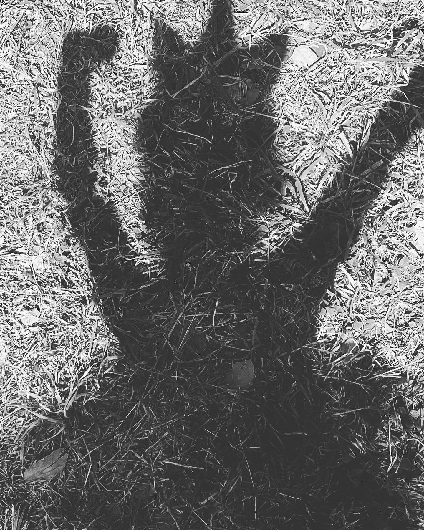 On particularly challenging days&hellip;you know the ones I&rsquo;m talking about. When my own shadows and projections rear their ugly head. When my center is temporarily off-center. I imagine everyone around me as a child wearing a tutu unicorn cost