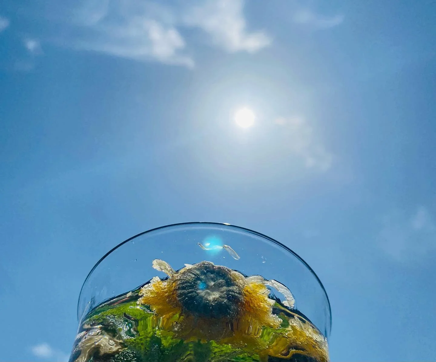 Happy Summer Solstice (Northern Hemisphere) 🌻🌻 Solstice Water

Place a glass of drinking water out to absorb the light and energy of the sunlight today. Use any fresh herbs whose medicine you are familiar with. Use your breath to blow your intentio