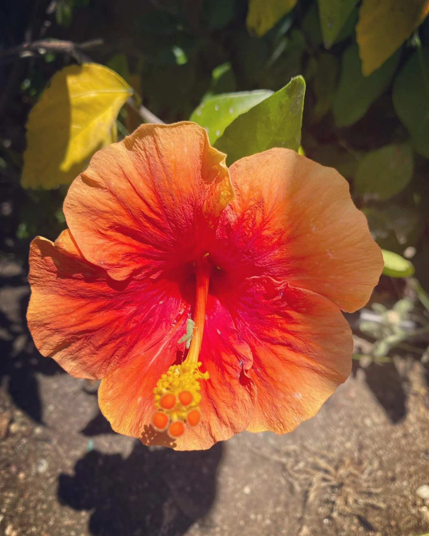 Healing takes place when that &lsquo;darkness&rsquo; that you had so tightly identified with is no longer seen as darkness. It is seen as the place where you were able to see your light.  The light needs the dark in order to see the magnitude of its 