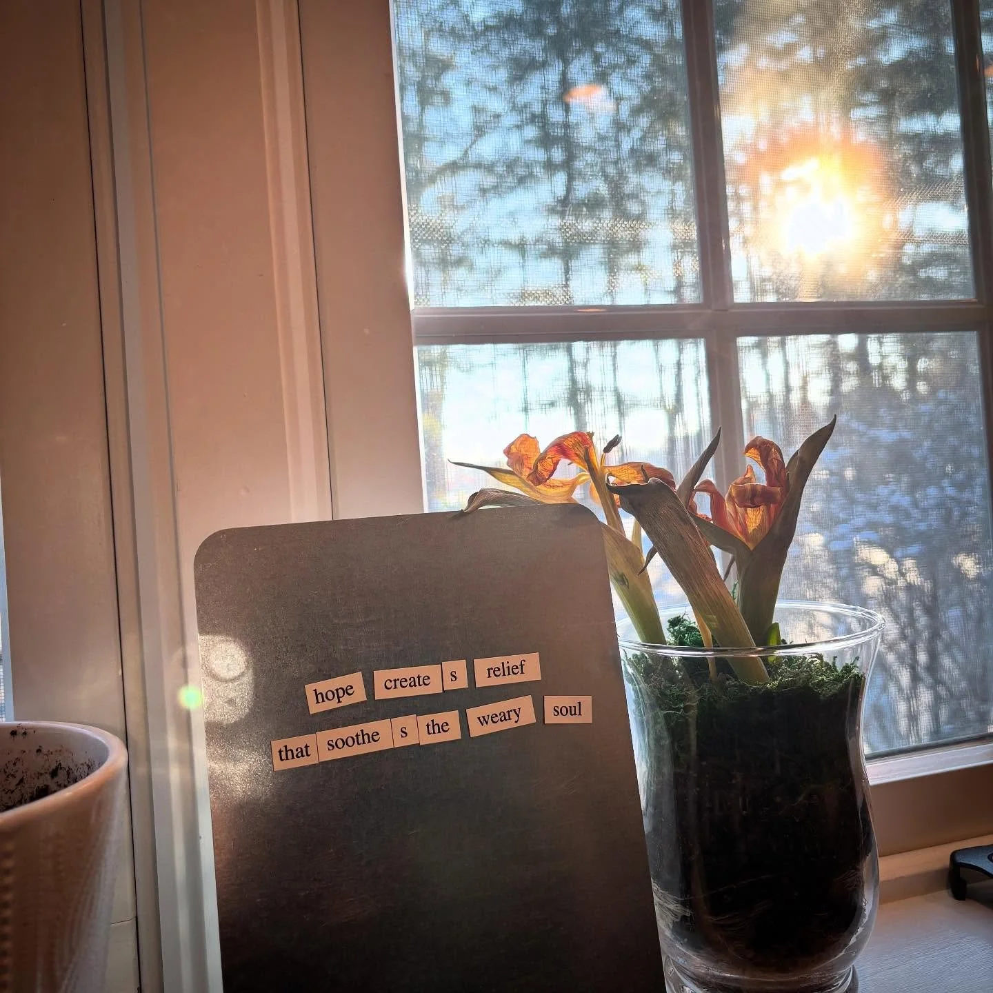 ✨One of my favorite lessons from becoming a death doula: All hope is good.
✨I used to think “false hope” was damaging and a problem to be fixed. 
✨I now understand hope is the most important survival coping skill 
✨Sometimes our job is