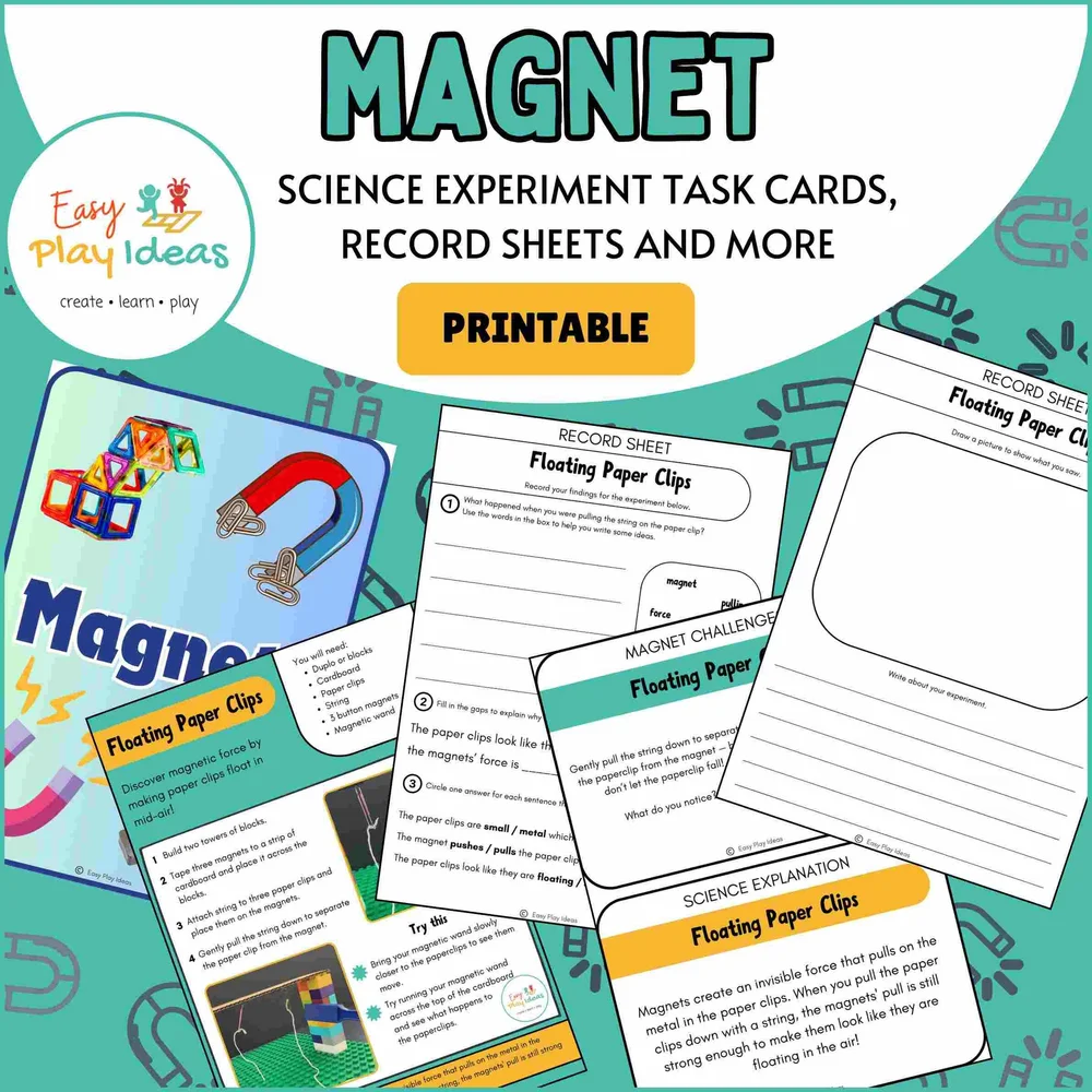 Fun Magnet Science Experiments