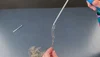 Fun Magnet Science Experiments
