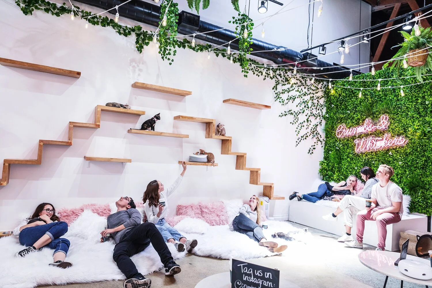 Private Experiences Crumbs Whiskers private-experiences-crumbs-whiskers