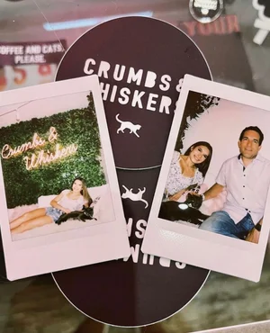 Visit DC — Crumbs & Whiskers