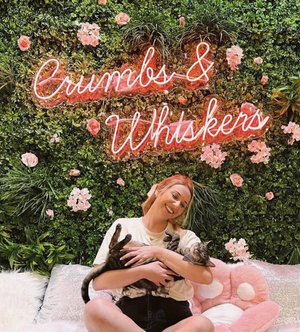 Visit LA — Crumbs & Whiskers