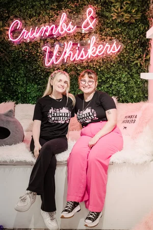 Kitten & Cat Café | Crumbs & Whiskers