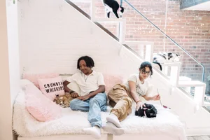 FAQ — Crumbs & Whiskers