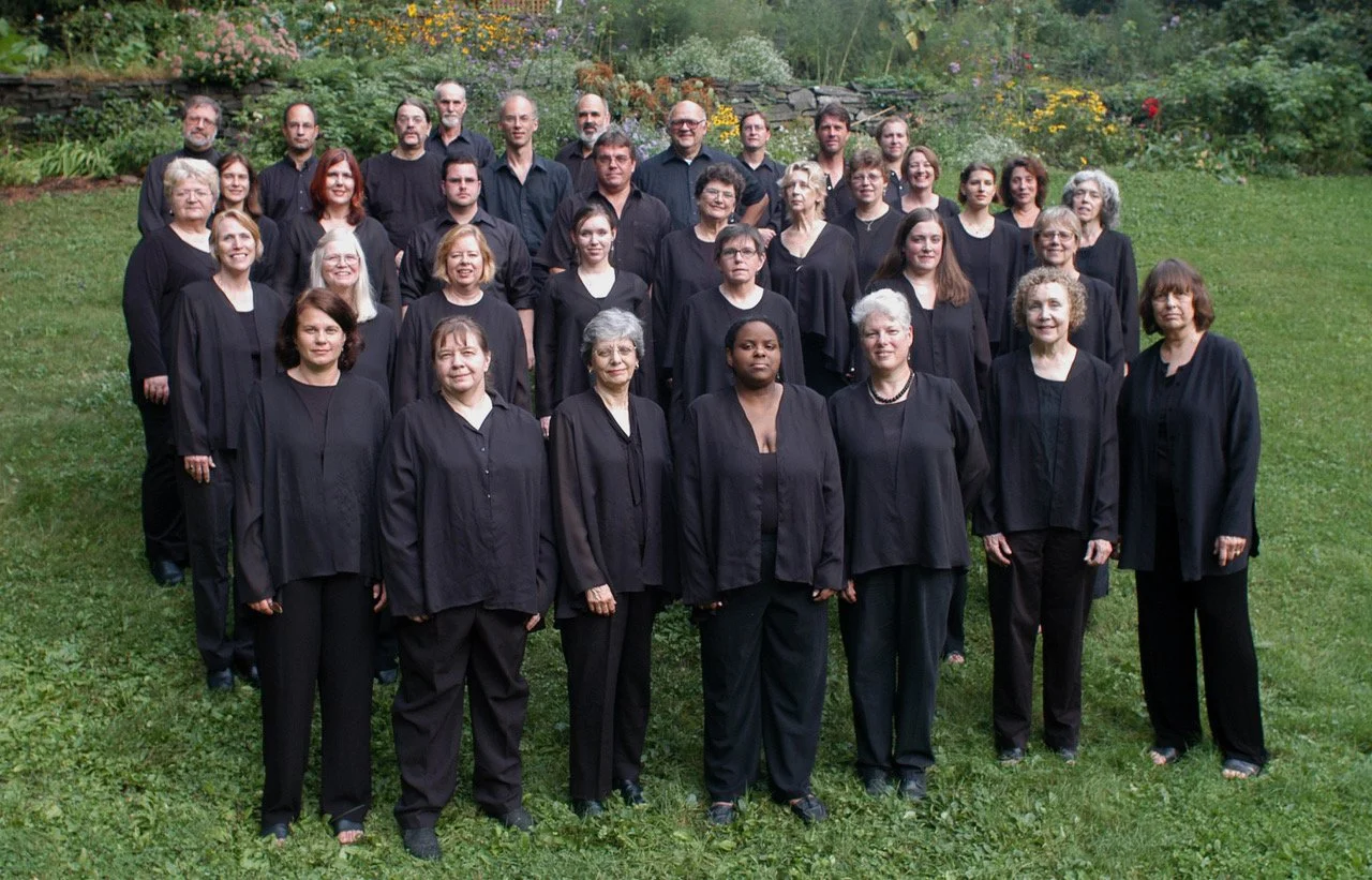 In my back yard, 2008