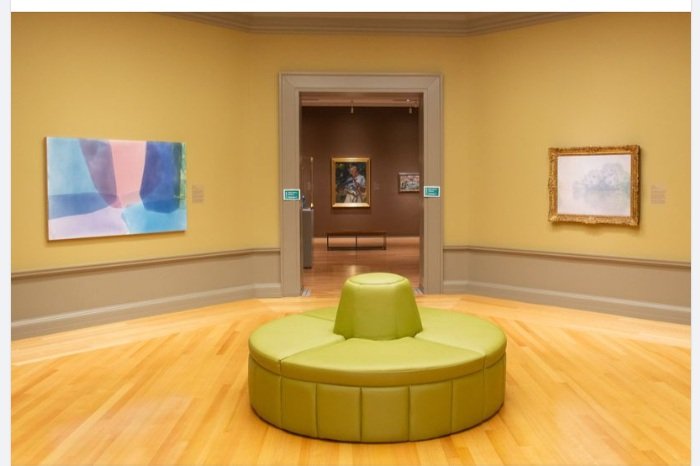  Passing Tone 2018, Columbia Museum of Art, Columbia,SC (Claude Monet on right)   