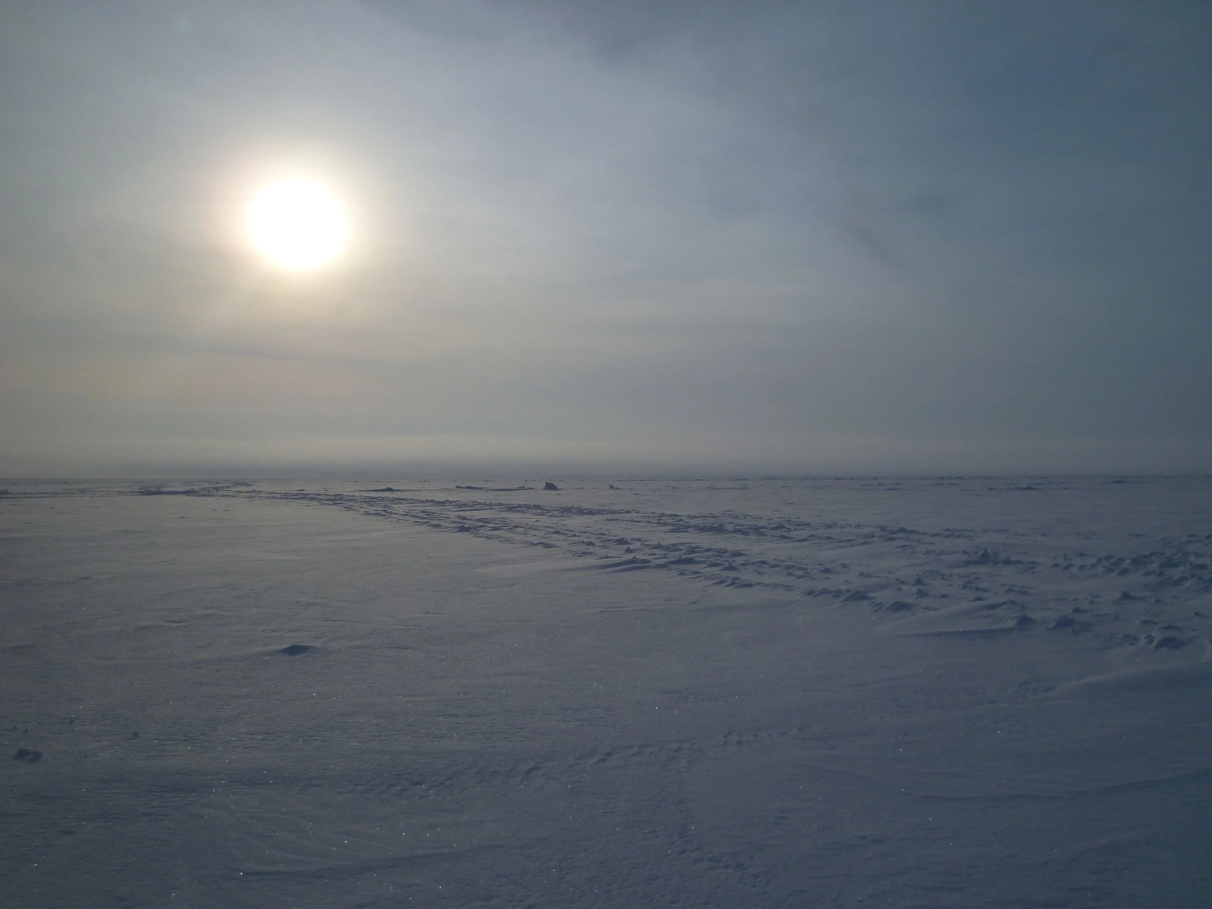 Yes, I'm in Siberia but what I really needed was a bikini 